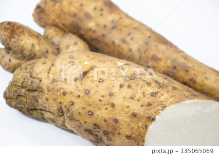 自然薯 135065069