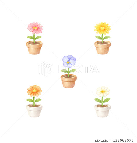 小さな花の鉢植え 水彩風イラスト セット 小さな花の鉢植え 水彩風イラスト セット 135065079