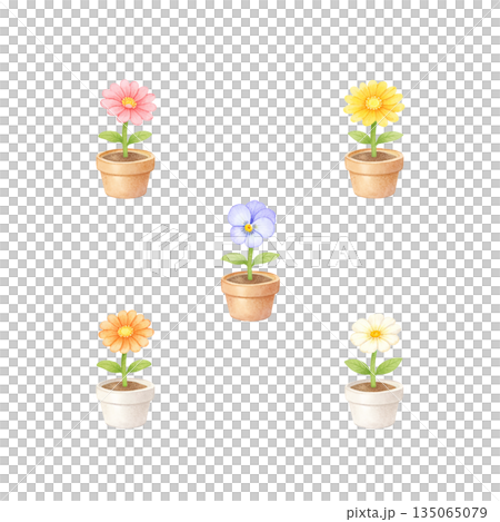 小さな花の鉢植え 水彩風イラスト セット 小さな花の鉢植え 水彩風イラスト セット 135065079