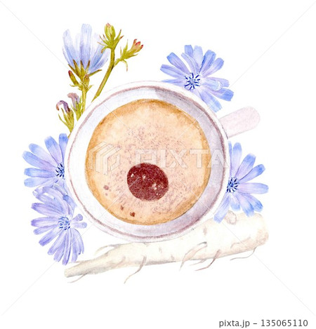 Chicory drink in white cup with roots pastel blue flowers watercolor isolated illutsration. Caffeine free substitute clip art in simple style for healthy eating and vegan diet designs 135065110