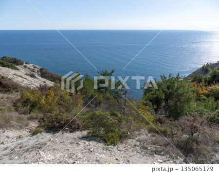 Panoramic view of the sea from a rocky hillside with pine trees under a clear blue summer sky 135065179
