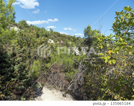 Panoramic view of the sea from a rocky hillside with pine trees under a clear blue summer sky Panoramic view of the sea from a rocky hillside with pine trees under a clear blue summer sky 135065184