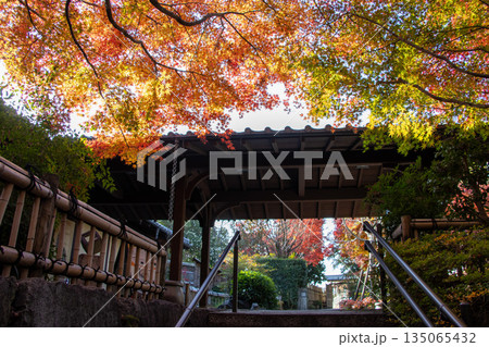 丈山苑 紅葉 丈山苑 紅葉 135065432