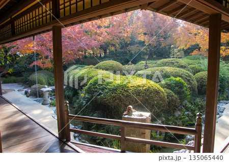 丈山苑 日本庭園 紅葉 丈山苑 日本庭園 紅葉 135065440
