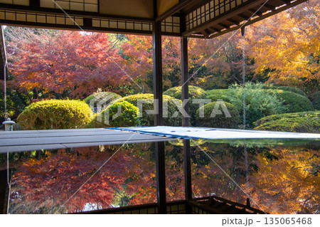 丈山苑 日本庭園 紅葉 丈山苑 日本庭園 紅葉 135065468
