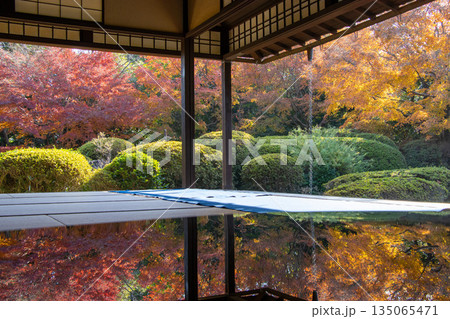 丈山苑 日本庭園 紅葉 135065471