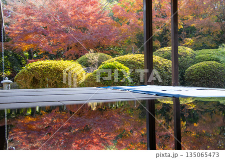 丈山苑 日本庭園 紅葉 丈山苑 日本庭園 紅葉 135065473