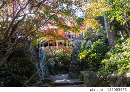 丈山苑 丈山苑 135065478