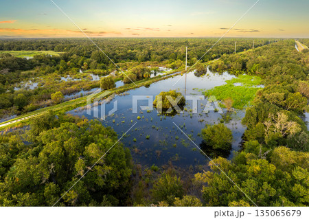 Florida wetlands with water between green wild vegetation. Tropical ecosystem at sunset Florida wetlands with water between green wild vegetation. Tropical ecosystem at sunset 135065679