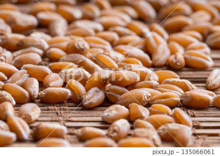 Sprouted wheat grains, a symbol of vitality and healthy nutrition. The concept of wellness, plant-based diet, mindful eating and natural living. Sprouted wheat grains, a symbol of vitality and healthy nutrition. The concept of wellness, plant-based diet, mindful eating and natural living. 135066061