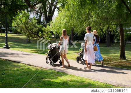 Young mother walking with her baby in stroller at park on sunny day 135066144