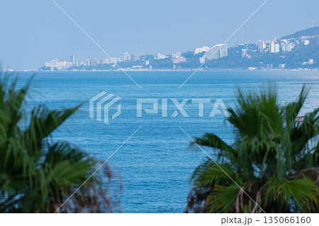 A breathtaking landscape captures the vibrant city of Sochi framed elegantly through lush tropical palm leaves. 135066160