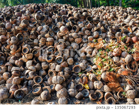 大量のヤシ殻を外で乾燥させている風景 エコロジー 大量のヤシ殻を外で乾燥させている風景 エコロジー 135067293