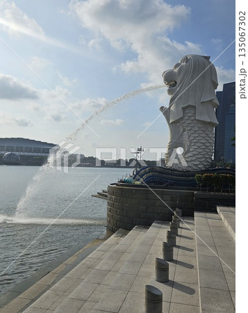 The Merlion statue spouts water into the bay The Merlion statue spouts water into the bay 135067302