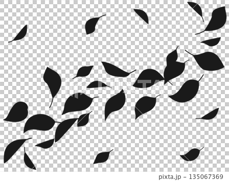 風に舞う葉っぱのシルエットのイラスト 風に舞う葉っぱのシルエットのイラスト 135067369
