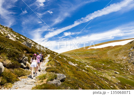Blue Lake Walking Track in Australia 135068071