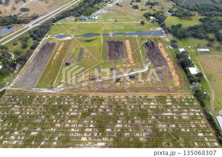 Cow feed lot with meat cows. Cattle stockyard on farm in USA 135068307