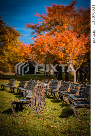 北海道 札幌市｜秋の公園の落ち葉とベンチの紅葉風景 135070031