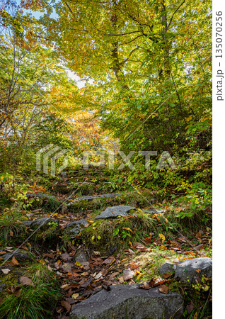 北海道 大沼国定公園の秋の紅葉風景 北海道 大沼国定公園の秋の紅葉風景 135070256