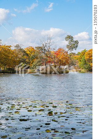 北海道 大沼国定公園の秋の紅葉風景 北海道 大沼国定公園の秋の紅葉風景 135070283