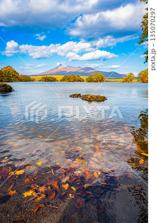 北海道　大沼国定公園の秋の紅葉風景 135070297