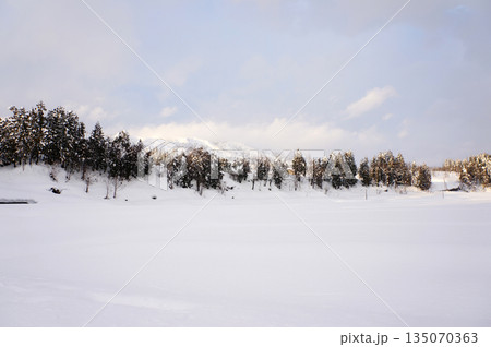 雪景色と杉の木　新潟県魚沼市 135070363