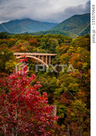 宮城県　曇天の鳴子峡 秋の紅葉と渓谷風景 135070669