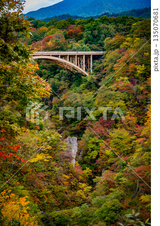宮城県 曇天の鳴子峡 秋の紅葉と渓谷風景 宮城県 曇天の鳴子峡 秋の紅葉と渓谷風景 135070681