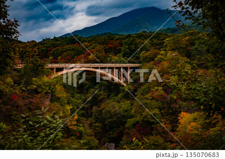 宮城県　曇天の鳴子峡 秋の紅葉と渓谷風景 135070683