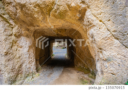 山形県　瓜割石庭公園（石切場跡）の秋の紅葉と岩壁の絶景 135070915