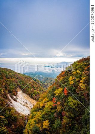 福島県　磐梯吾妻スカイラインの秋の紅葉と晴天の絶景 135070961