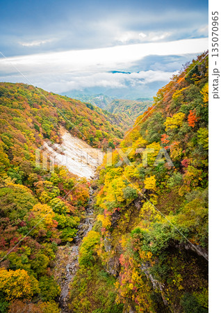 福島県 磐梯吾妻スカイラインの秋の紅葉と晴天の絶景 福島県 磐梯吾妻スカイラインの秋の紅葉と晴天の絶景 135070965