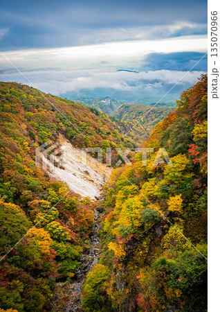 福島県 磐梯吾妻スカイラインの秋の紅葉と晴天の絶景 福島県 磐梯吾妻スカイラインの秋の紅葉と晴天の絶景 135070966