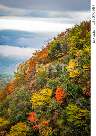 福島県　磐梯吾妻スカイラインの秋の紅葉と晴天の絶景 135070967