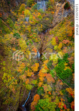 福島県 磐梯吾妻スカイラインの秋の紅葉と晴天の絶景 福島県 磐梯吾妻スカイラインの秋の紅葉と晴天の絶景 135070971