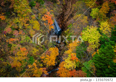 福島県 磐梯吾妻スカイラインの秋の紅葉と晴天の絶景 福島県 磐梯吾妻スカイラインの秋の紅葉と晴天の絶景 135070972