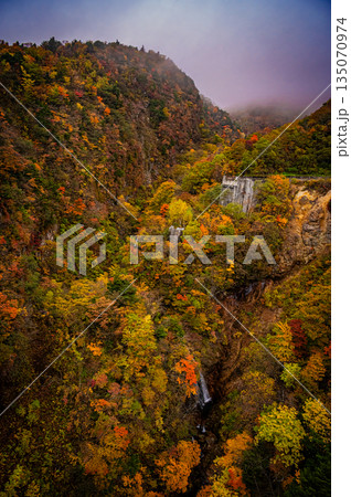 福島県 磐梯吾妻スカイラインの秋の紅葉と晴天の絶景 福島県 磐梯吾妻スカイラインの秋の紅葉と晴天の絶景 135070974