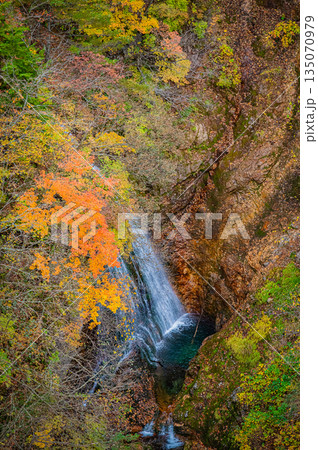 福島県　磐梯吾妻スカイラインの秋の紅葉と晴天の絶景 135070979