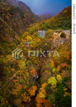 福島県　磐梯吾妻スカイラインの秋の紅葉と晴天の絶景 135070981