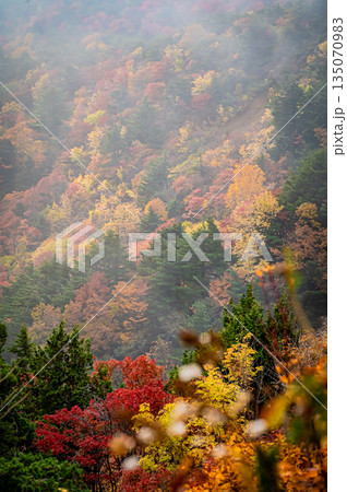 福島県　磐梯吾妻スカイラインの秋の紅葉と晴天の絶景 135070983