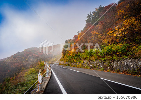福島県　磐梯吾妻スカイラインの秋の紅葉と晴天の絶景 135070986