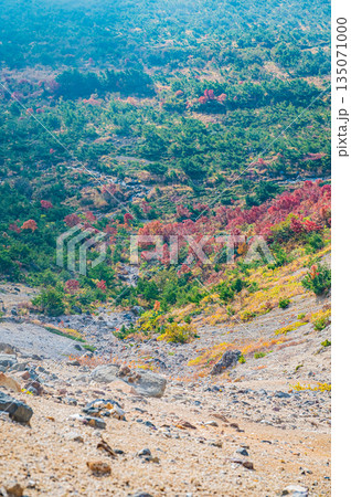 福島県 磐梯吾妻スカイラインの秋の紅葉と晴天の絶景 福島県 磐梯吾妻スカイラインの秋の紅葉と晴天の絶景 135071000