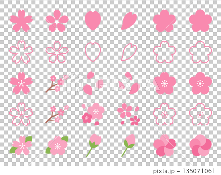Cherry blossom icon set_vector illustration 135071061