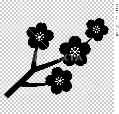 桜の枝のアイコン_ベクターイラスト 桜の枝のアイコン_ベクターイラスト 135071154