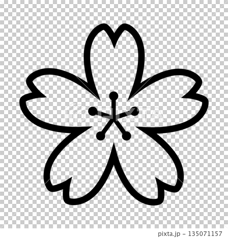 Cherry blossom icon_vector illustration Cherry blossom icon_vector illustration 135071157