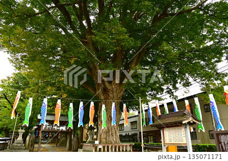 盛岡の住吉神社 135071171