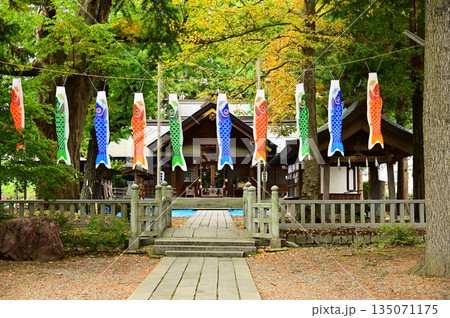 盛岡の住吉神社 盛岡の住吉神社 135071175
