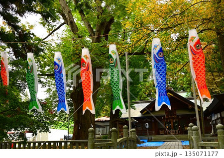 盛岡の住吉神社 盛岡の住吉神社 135071177