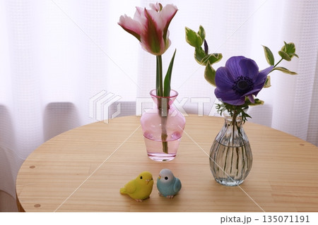 変わり咲きのチューリップとアネモネ 変わり咲きのチューリップとアネモネ 135071191