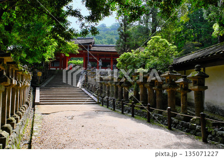 春日大社の慶賀門と石灯篭　奈良県 135071227